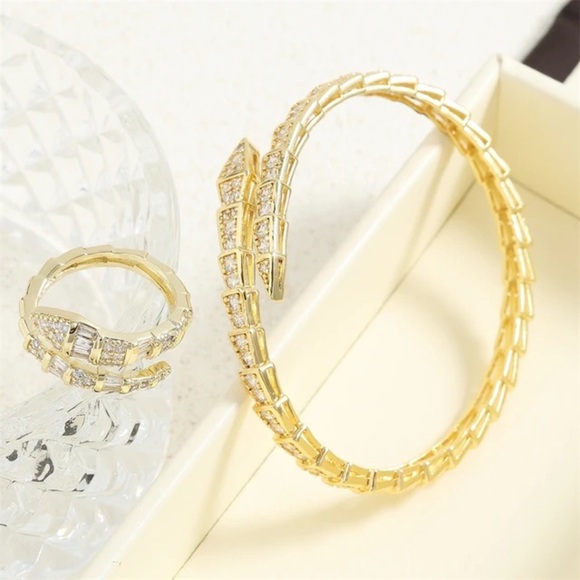 NWOT SNAKE BONE BANGLE AND RING SET - Picture 1 of 2